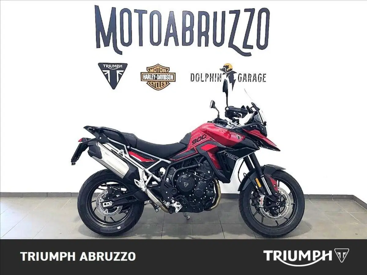 Triumph Tiger 900 GT (2020 - 23) (9)
