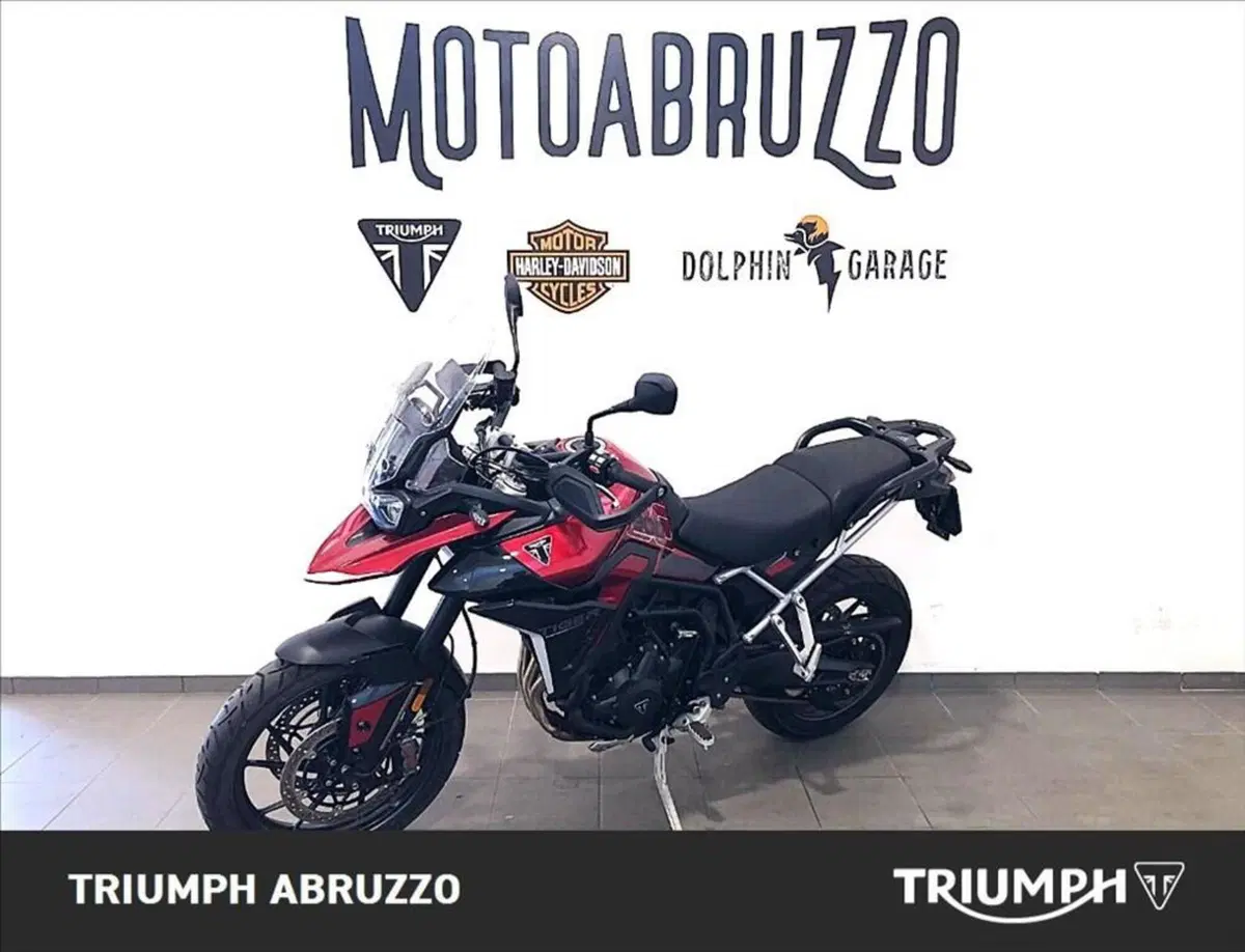 Triumph Tiger 900 GT (2020 - 23) (4)