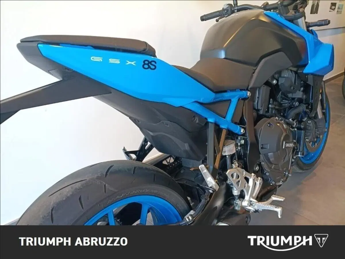Suzuki GSX-8S (2023 - 24) (9)