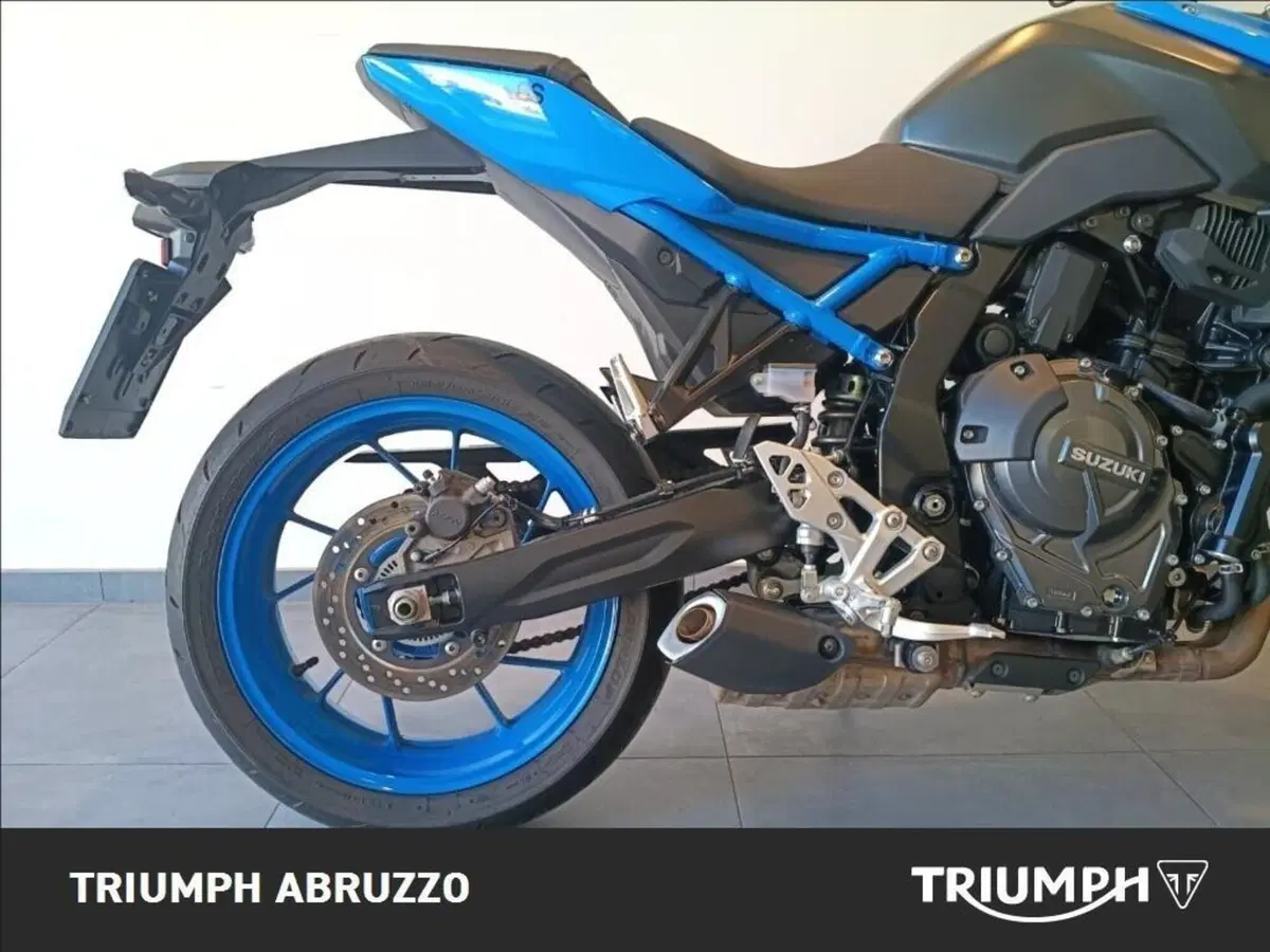 Suzuki GSX-8S (2023 - 24) (7)