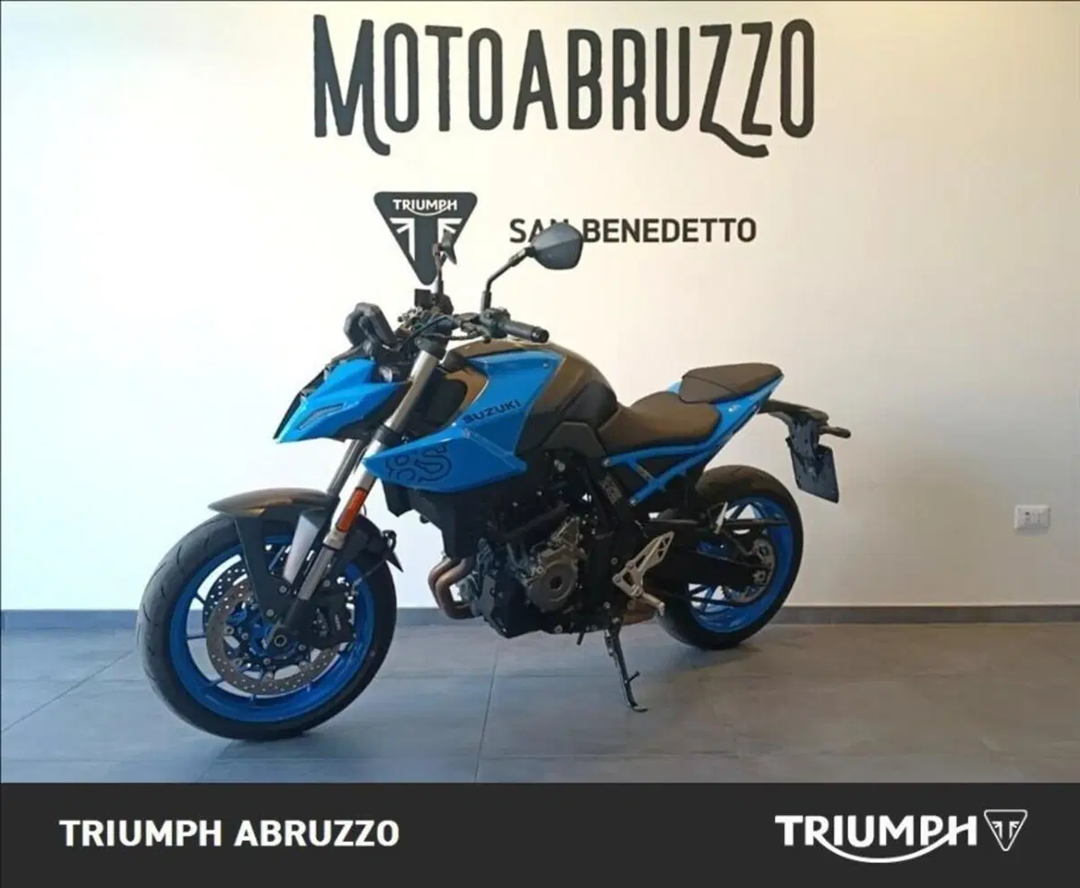 Suzuki GSX-8S (2023 - 24) (3)