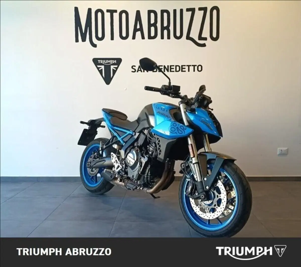 Suzuki GSX-8S (2023 - 24) (2)