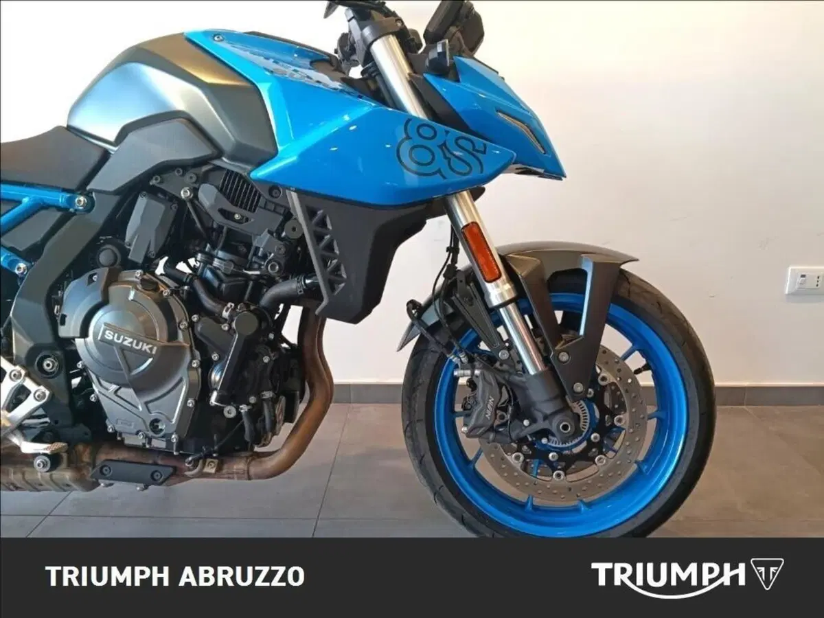 Suzuki GSX-8S (2023 - 24) (6)