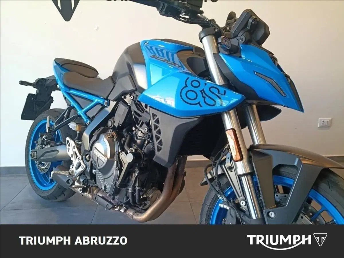 Suzuki GSX-8S (2023 - 24) (10)