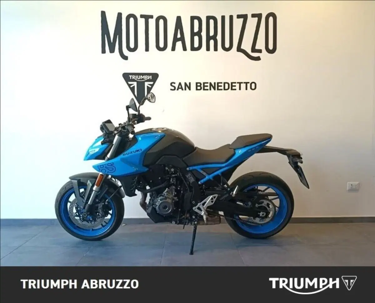 Suzuki GSX-8S (2023 - 24) (4)