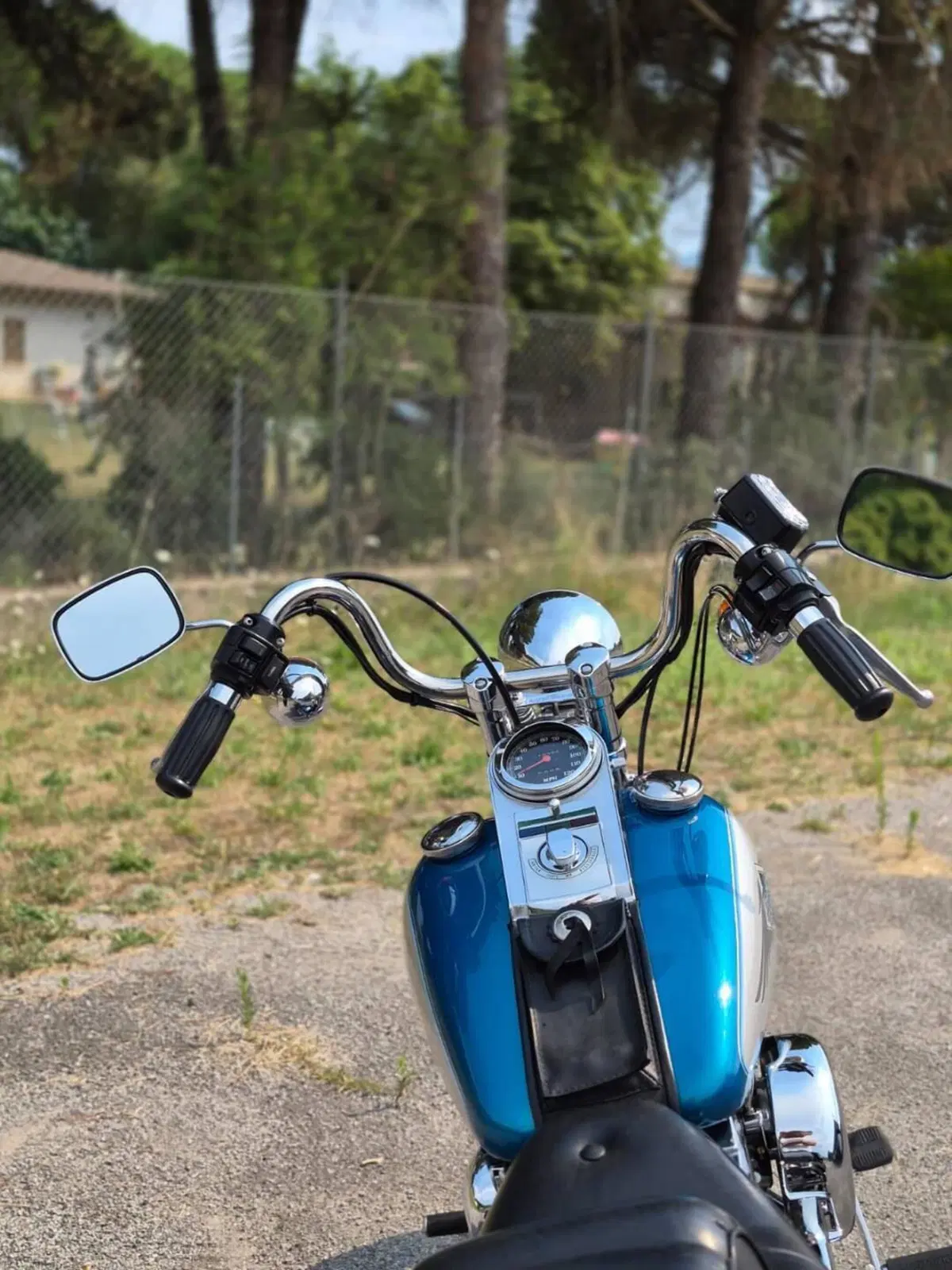 Harley-Davidson 1340 Springer (1990 - 98) - FXSTS (3)