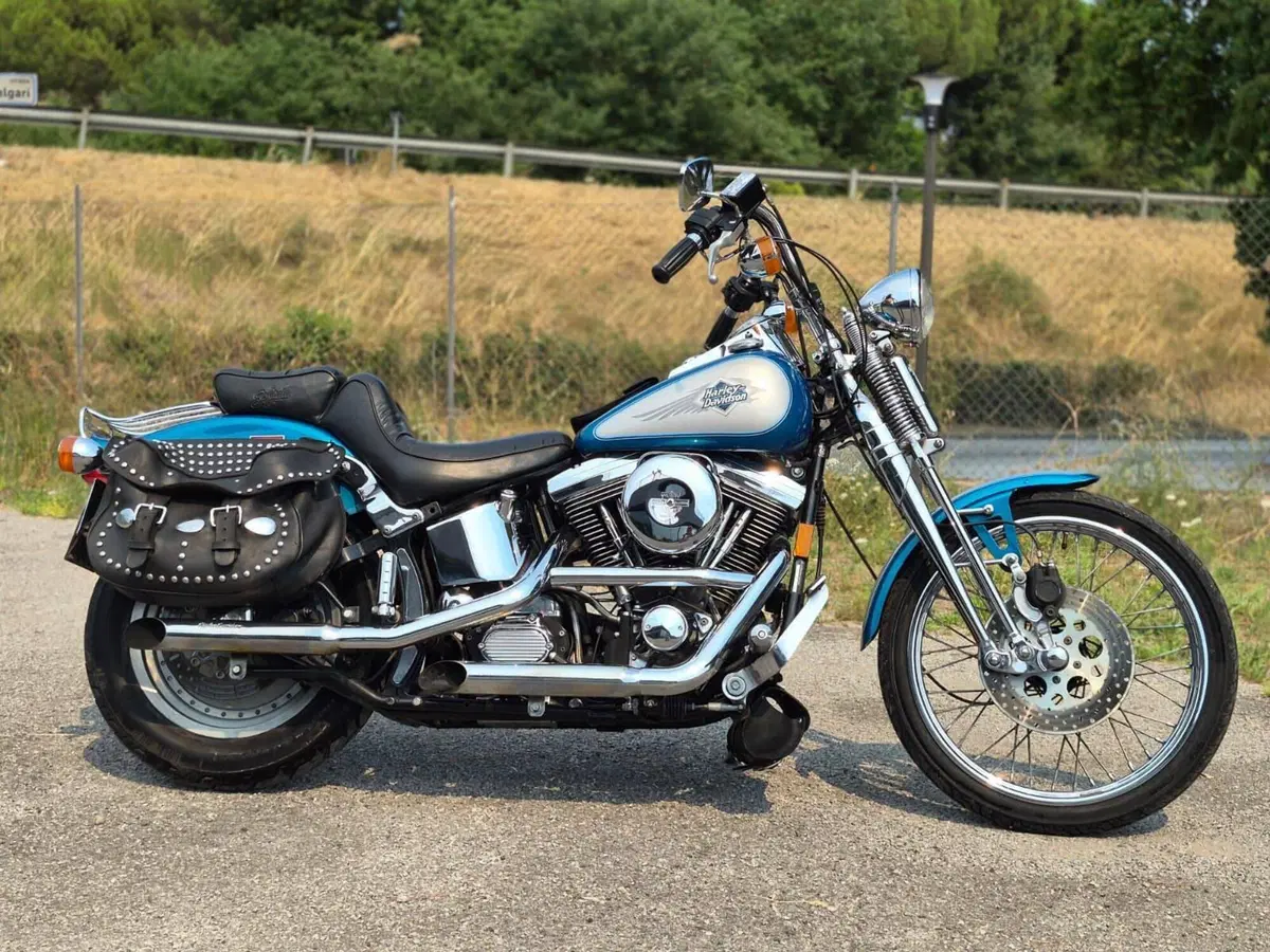 Harley-Davidson 1340 Springer (1990 - 98) - FXSTS (2)