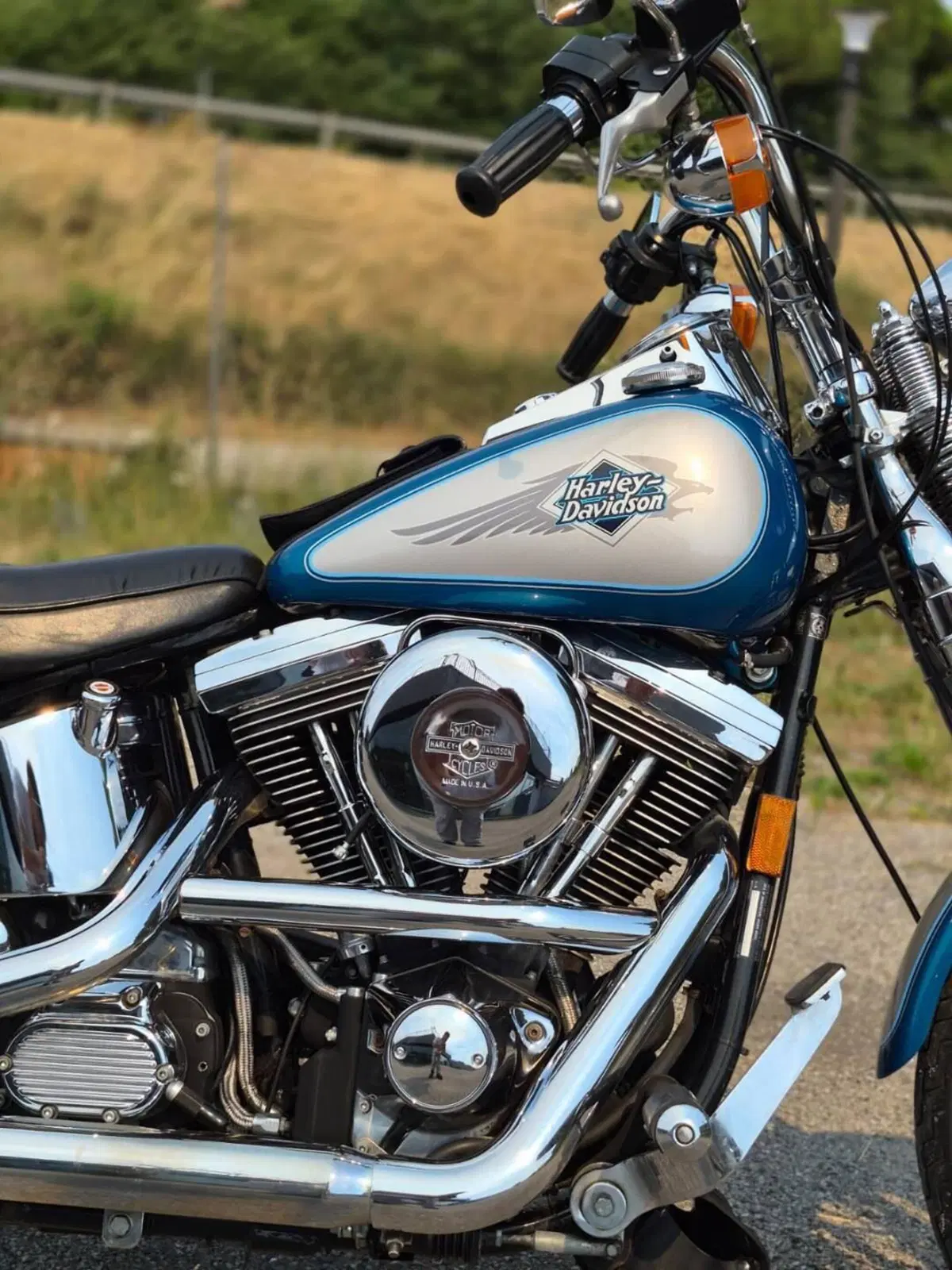 Harley-Davidson 1340 Springer (1990 - 98) - FXSTS (5)