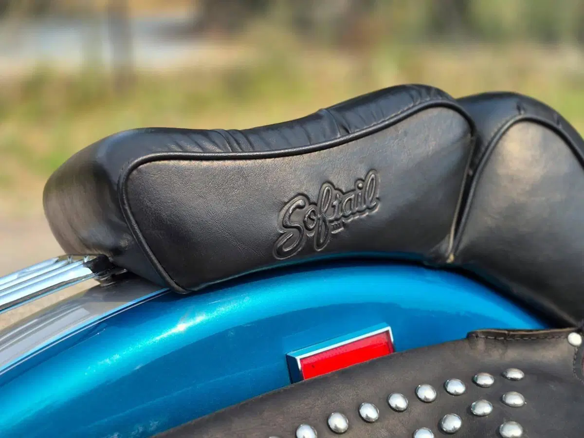 Harley-Davidson 1340 Springer (1990 - 98) - FXSTS (8)