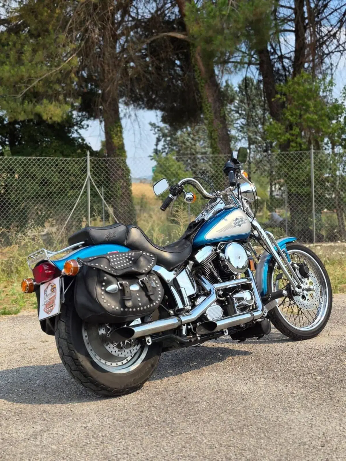 Harley-Davidson 1340 Springer (1990 - 98) - FXSTS (6)