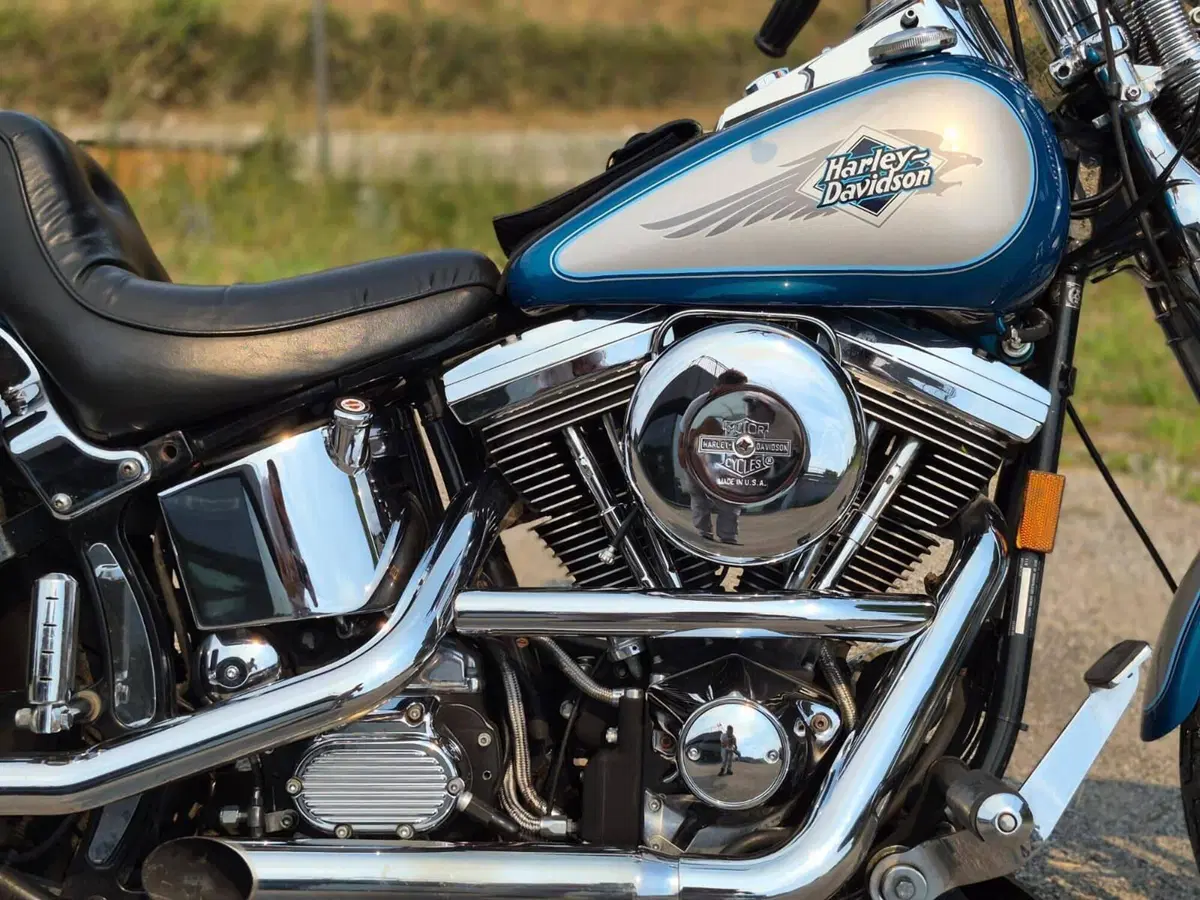 Harley-Davidson 1340 Springer (1990 - 98) - FXSTS (10)