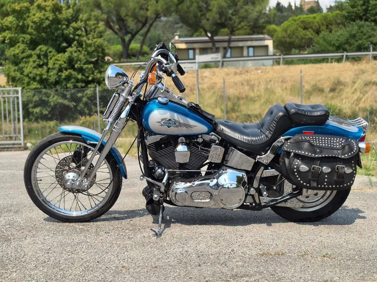 Harley-Davidson 1340 Springer (1990 - 98) - FXSTS (7)