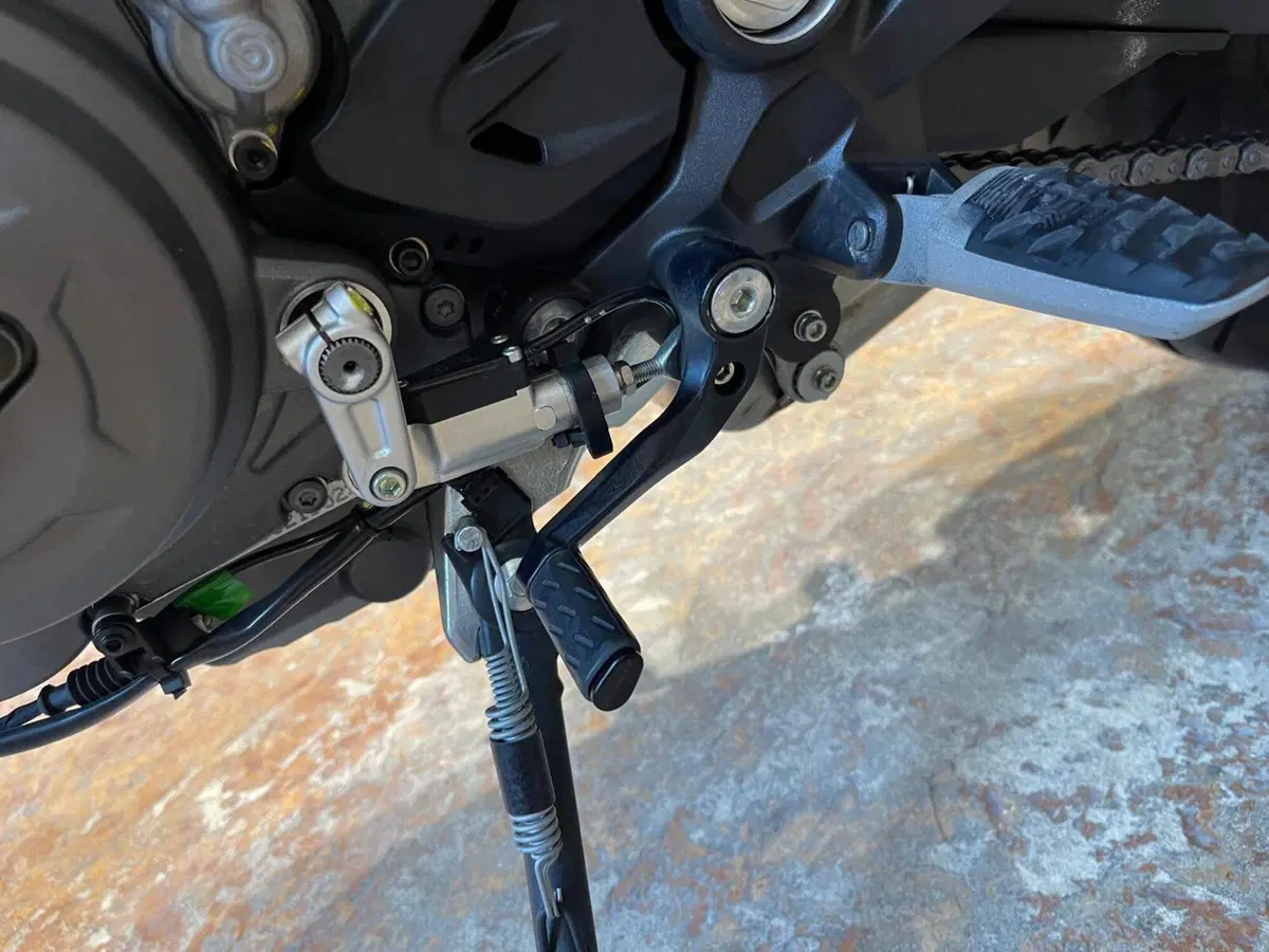 Ducati Monster 937 30° Anniversario (2023 - 24) (16)