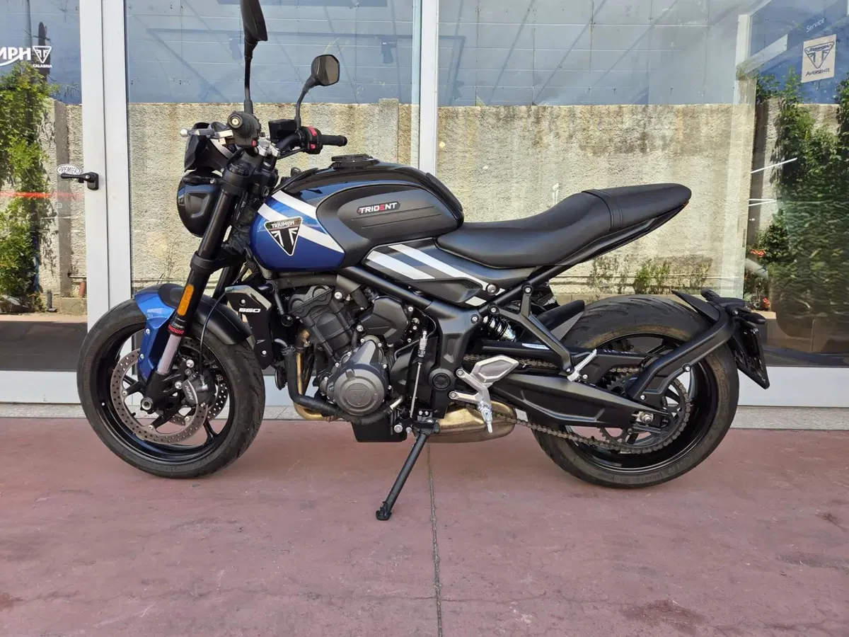 Triumph Trident 660 (2025) (6)
