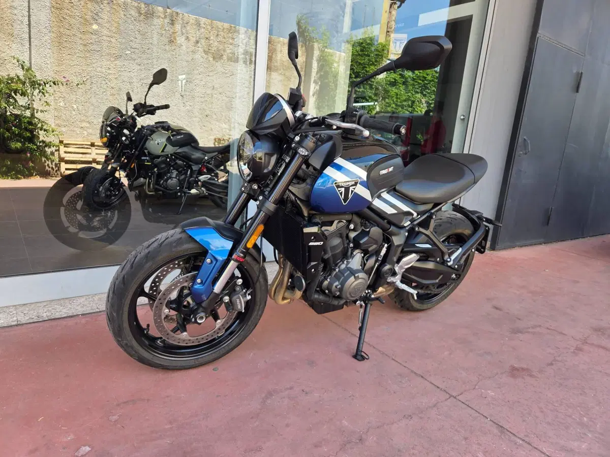 Triumph Trident 660 (2025) (8)