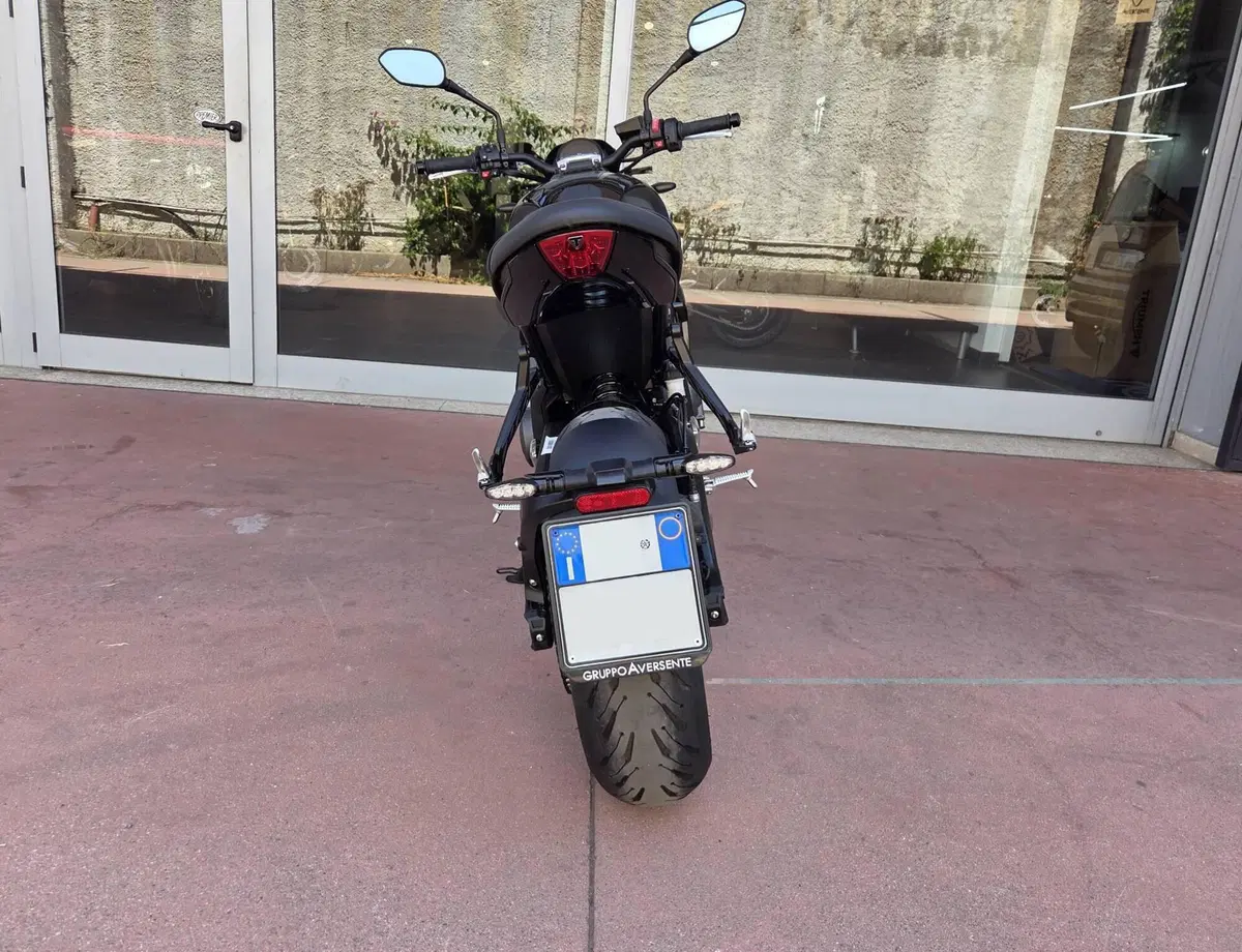 Triumph Trident 660 (2025) (10)