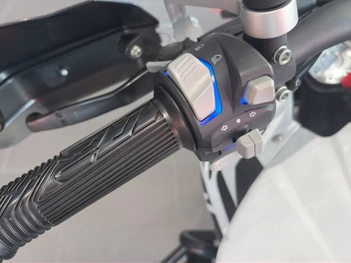 Benelli TRK 502 ABS (2017 - 20) (12)