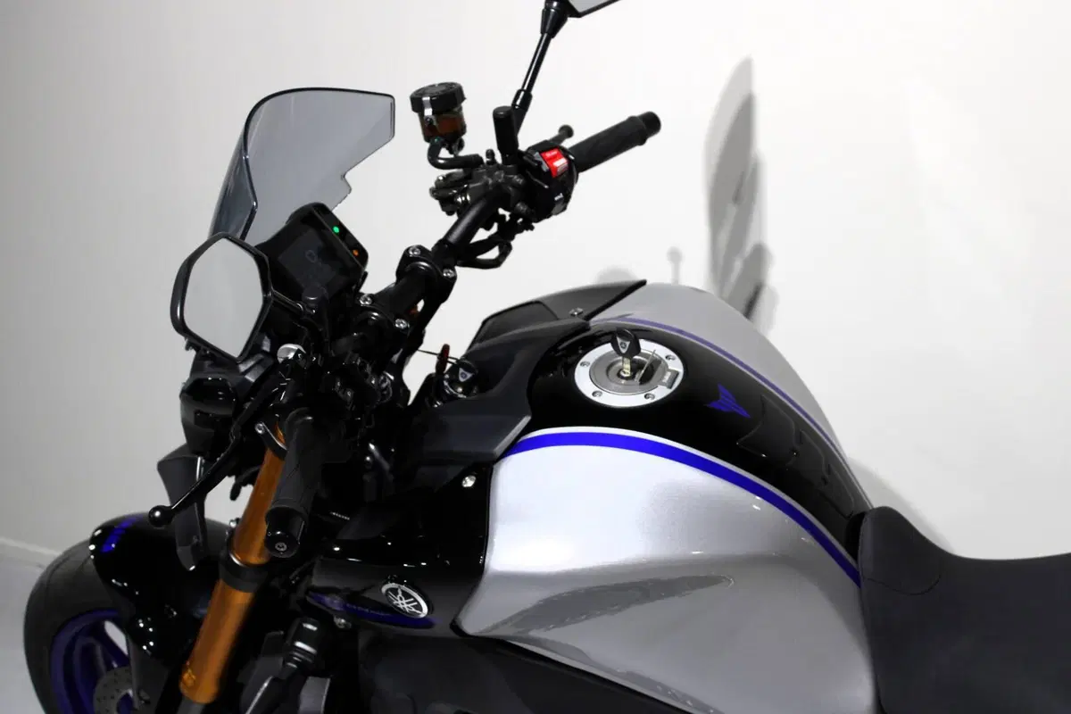 Yamaha MT-09 SP (2021 - 23) (6)