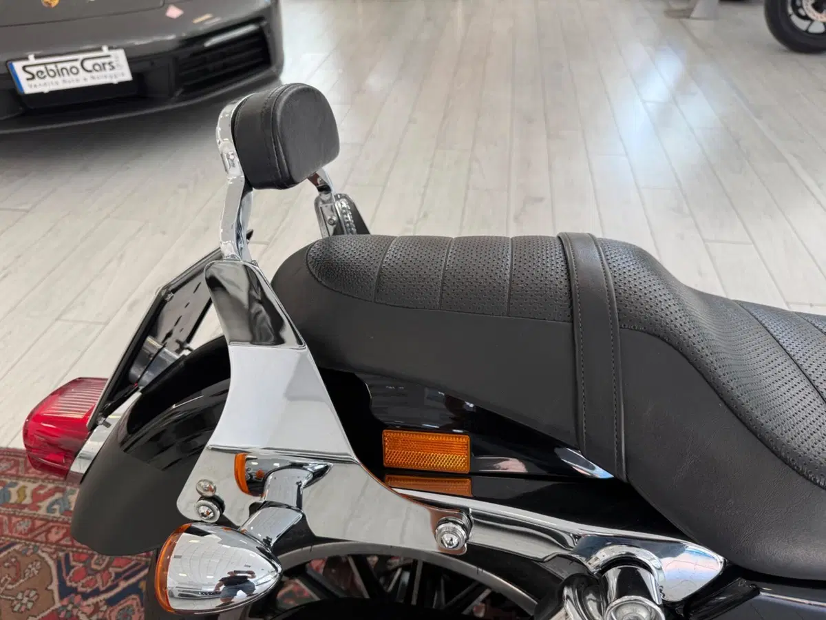 Harley-Davidson 883 R (2008 - 16) - XL 883R (12)