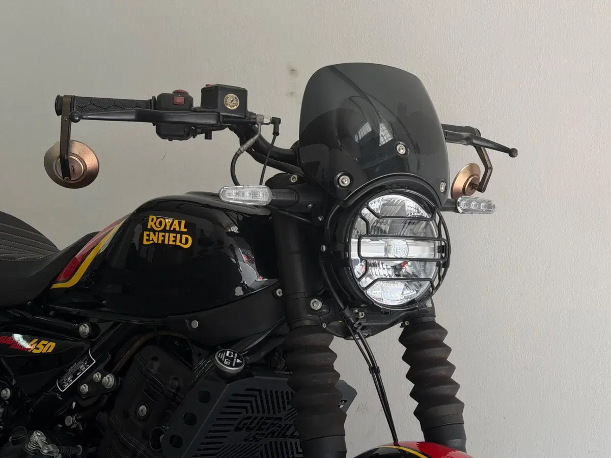 Royal Enfield Guerrilla 450 (2024 - 26) (5)