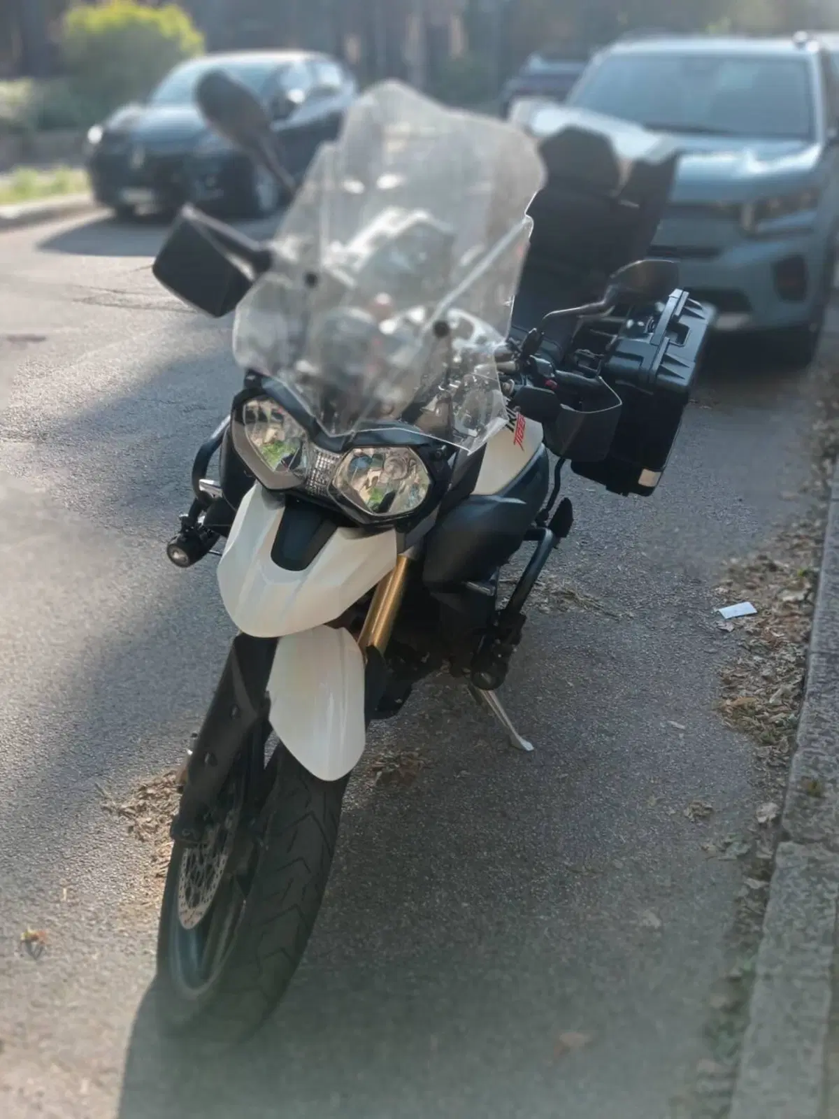 Triumph Tiger 800 ABS (2010 - 14) (2)