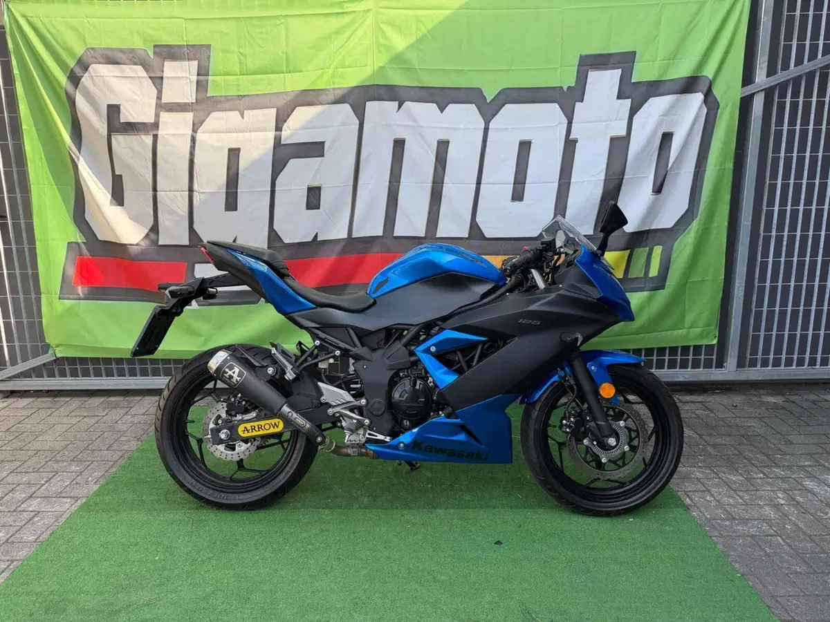 Kawasaki Ninja 125 (2021 - 24)