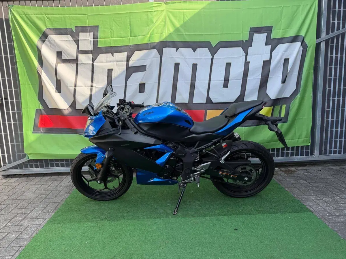 Kawasaki Ninja 125 (2021 - 24) (2)