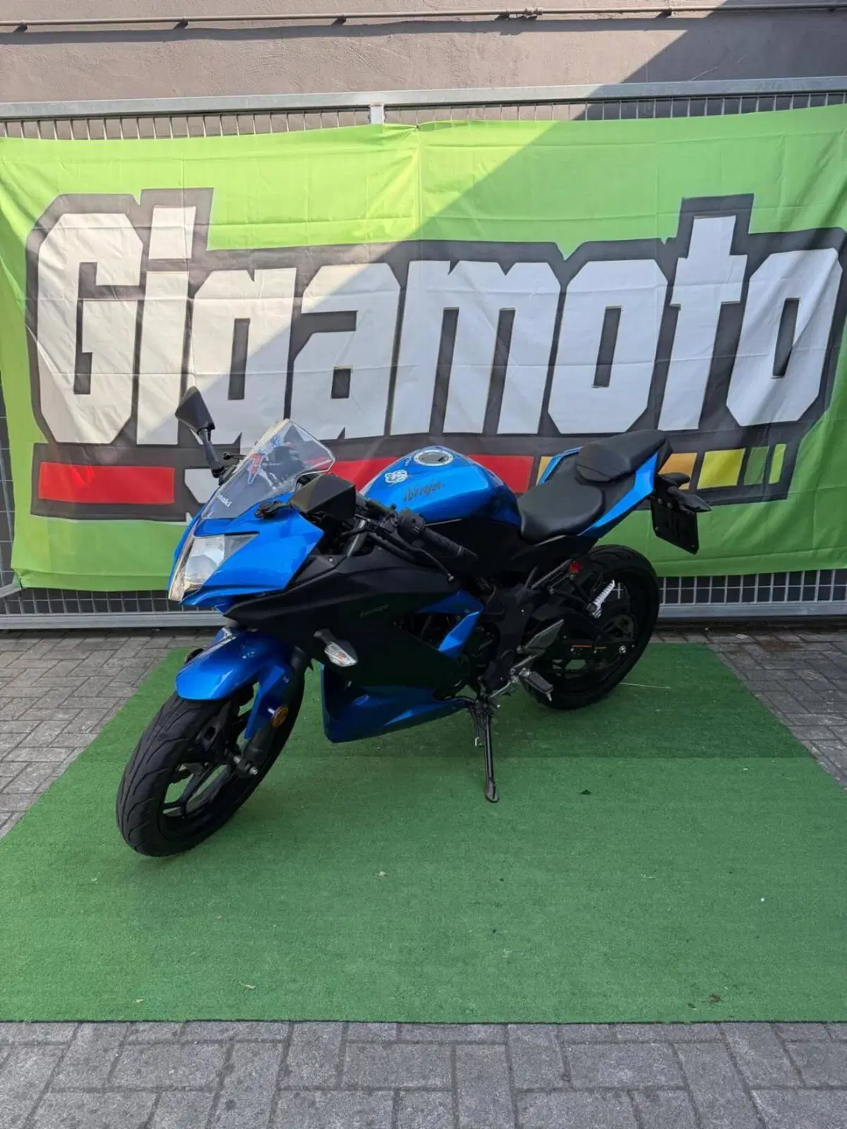 Kawasaki Ninja 125 (2021 - 24) (3)