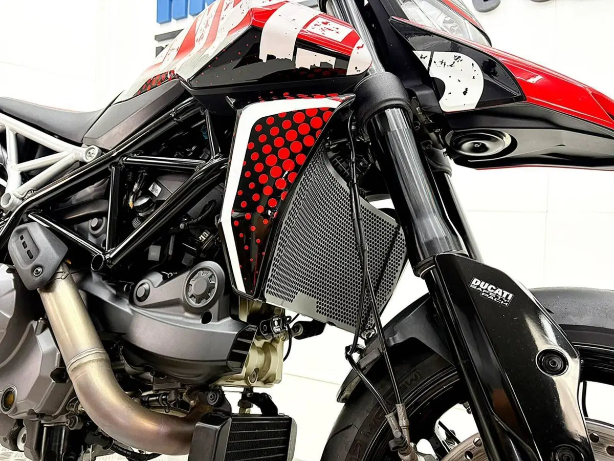 Ducati Hypermotard 950 RVE (2022 - 25) (11)