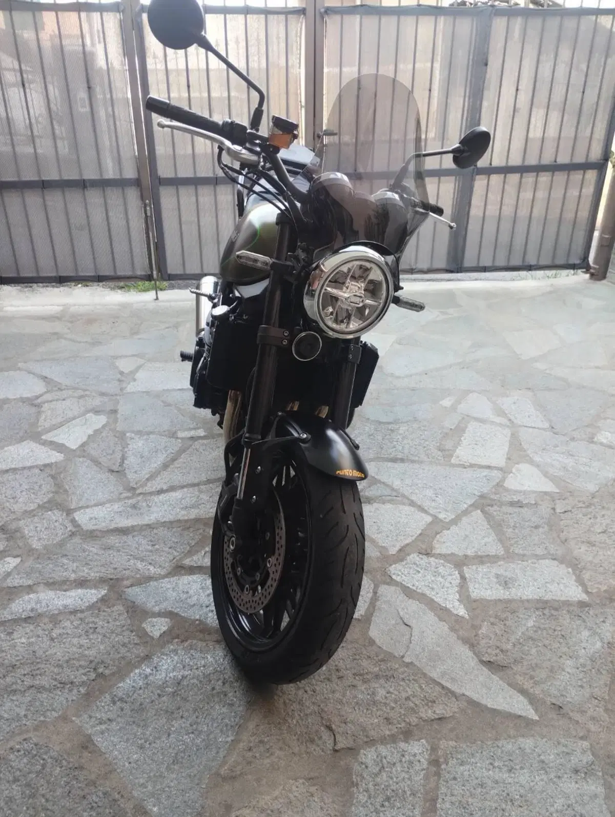 Kawasaki Z 900 RS (2018 - 20) (6)
