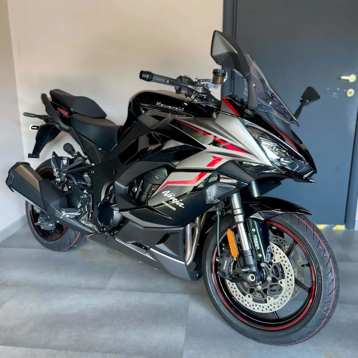 Kawasaki Ninja 1000 SX (2021 - 24)