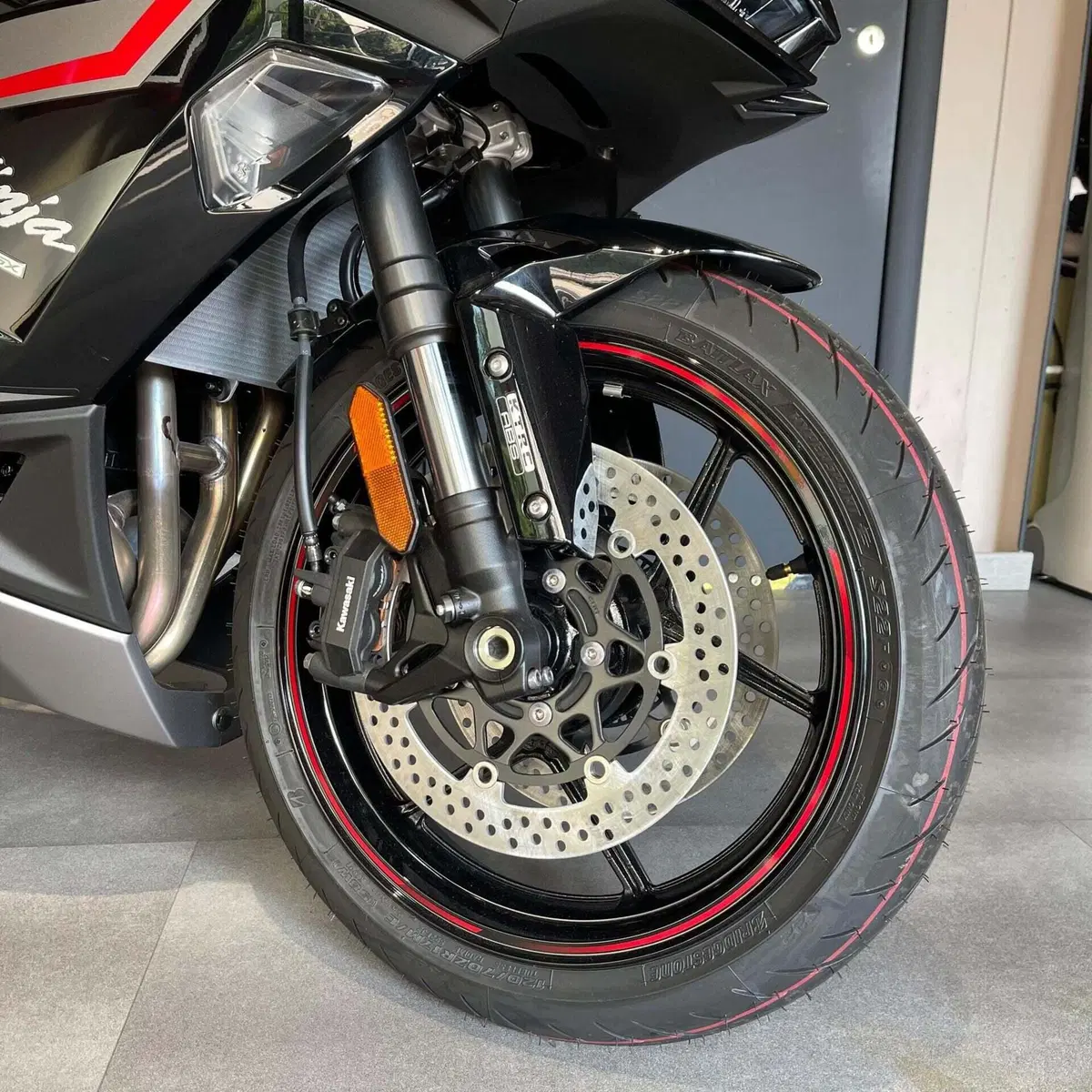 Kawasaki Ninja 1000 SX (2021 - 24) (9)