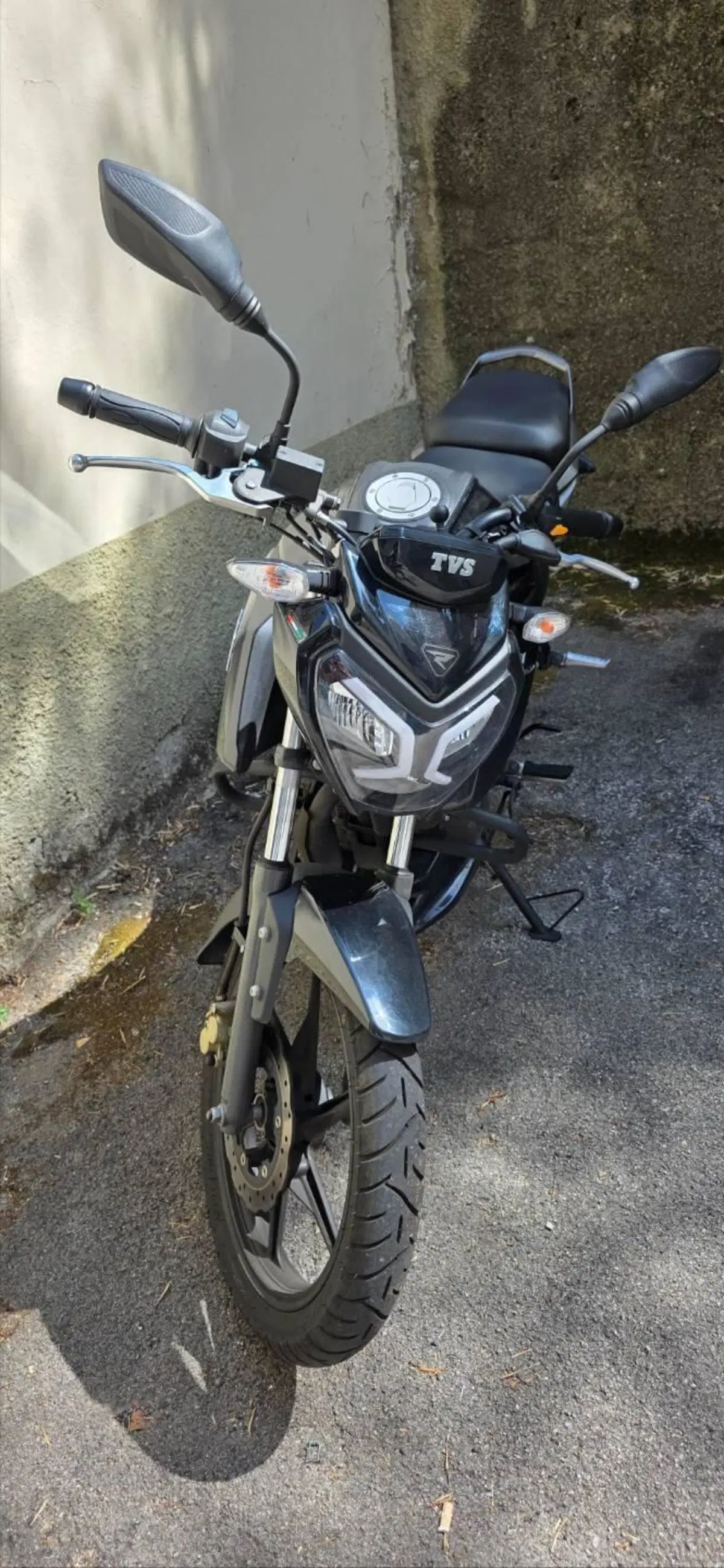 TVS Motor Raider 125 (2024 - 26)