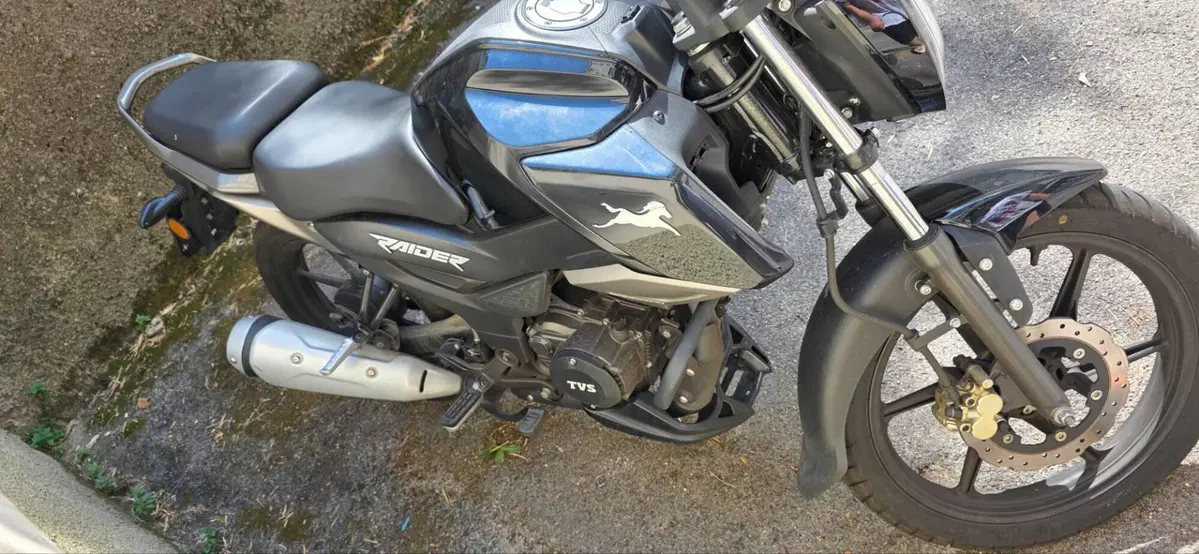 TVS Motor Raider 125 (2024 - 26) (4)