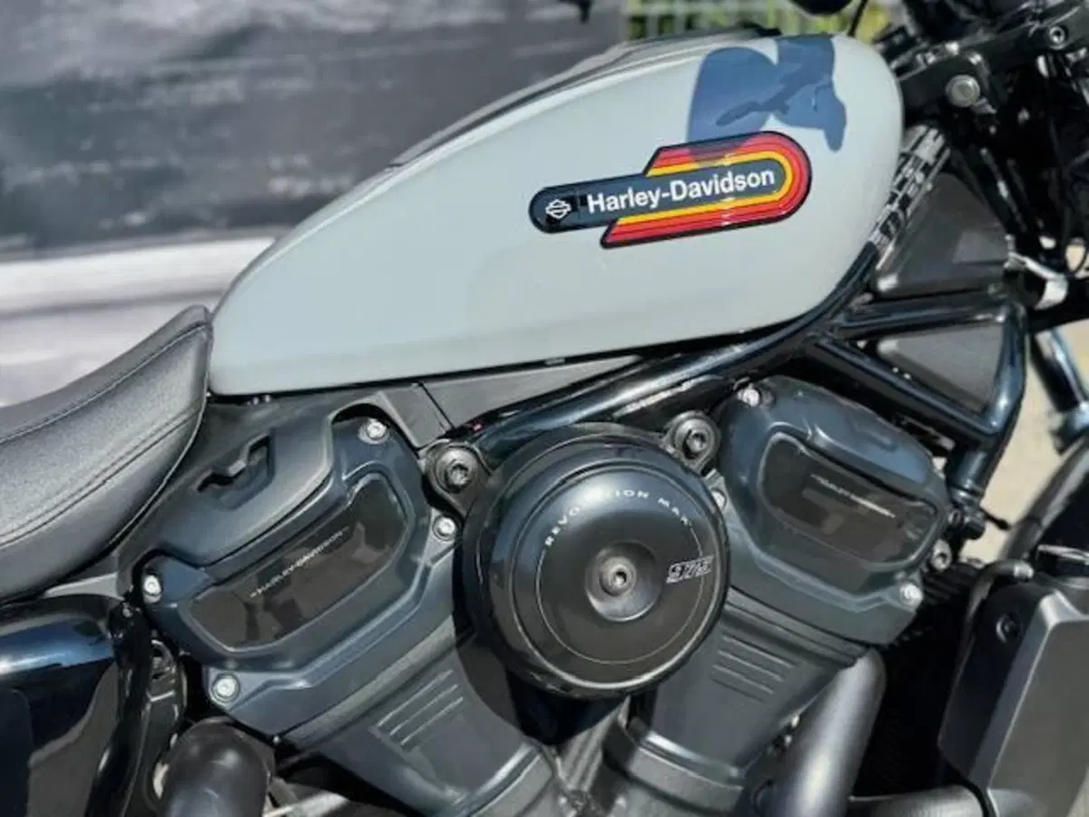 Harley-Davidson Nightster Special (2023 - 26) (2)