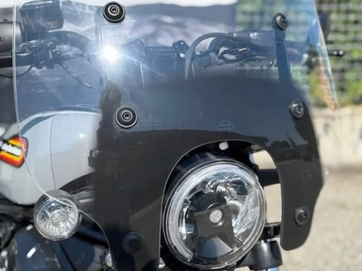 Harley-Davidson Nightster Special (2023 - 26) (5)