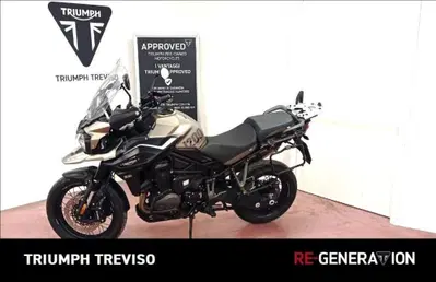 Triumph Tiger 1200 Desert Edition (2020) usata
