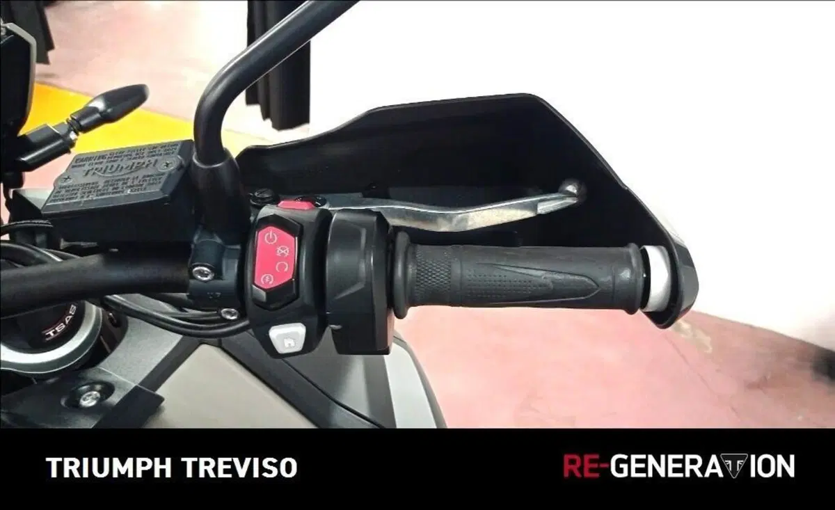 Triumph Tiger 1200 Desert Edition (2020) (3)