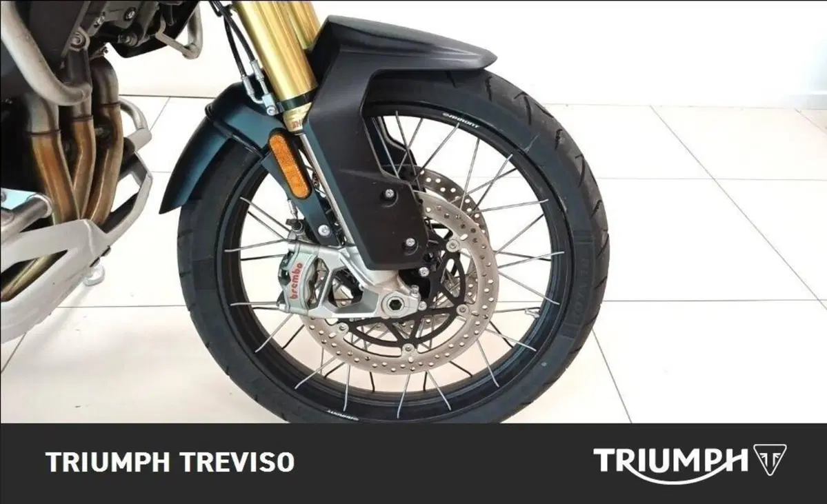 Triumph Tiger 1200 Desert Special Edition (2026) (4)