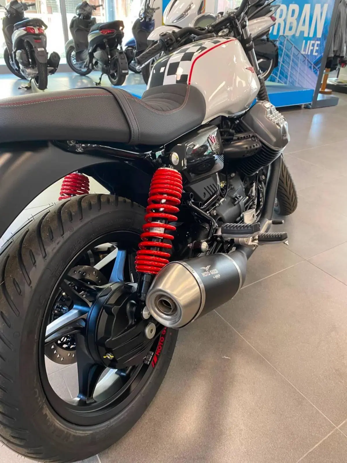Moto Guzzi V7 Stone Ten (2024 - 25) (6)