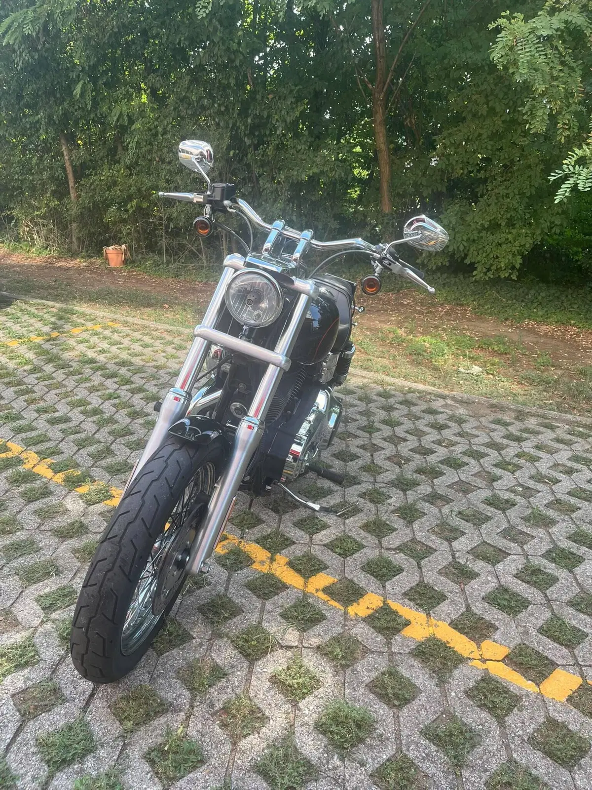 Harley-Davidson 1690 Low Rider (2014 - 17) - FXDL (4)
