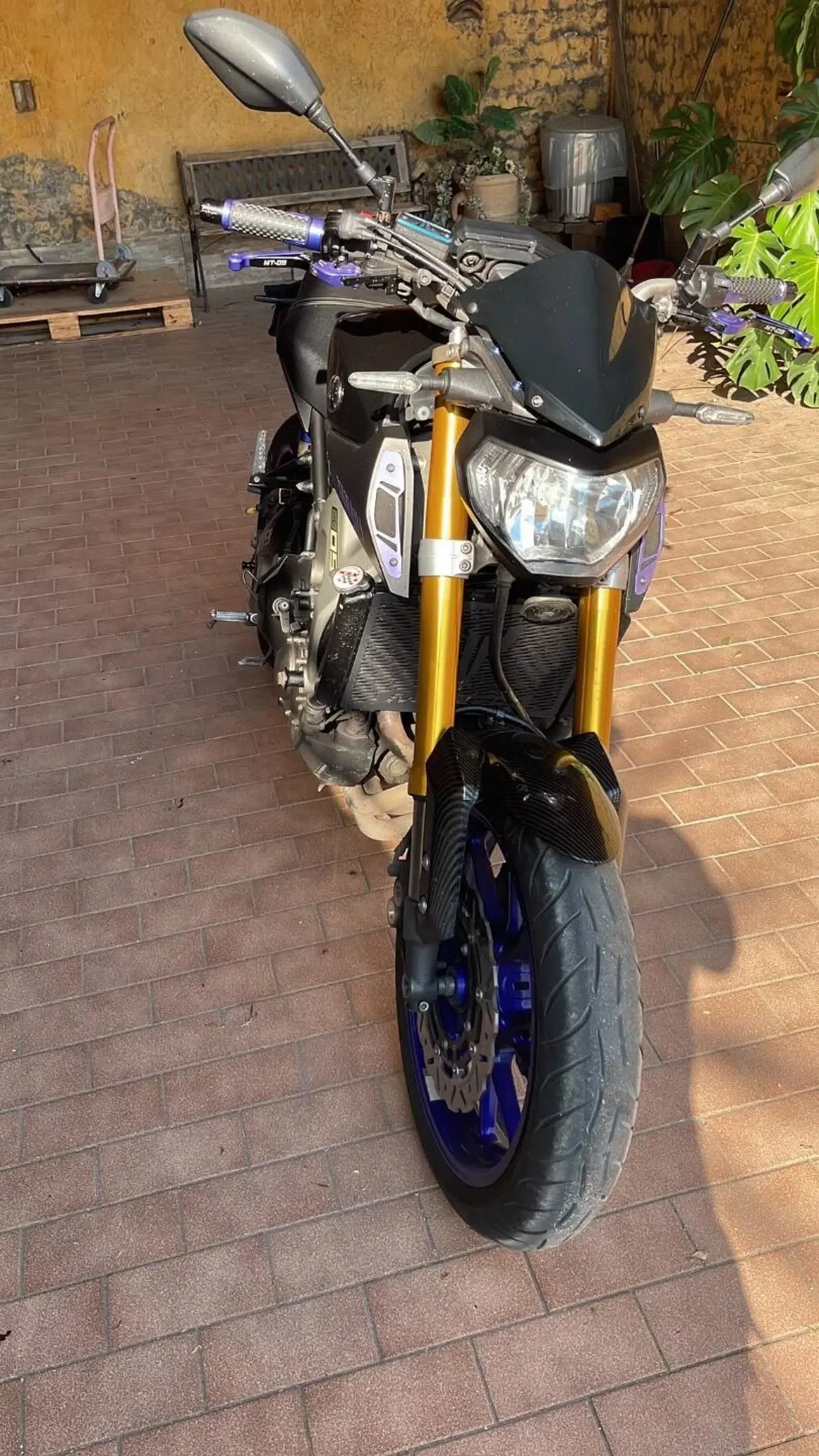 Yamaha MT-09 (2013 - 15) (2)