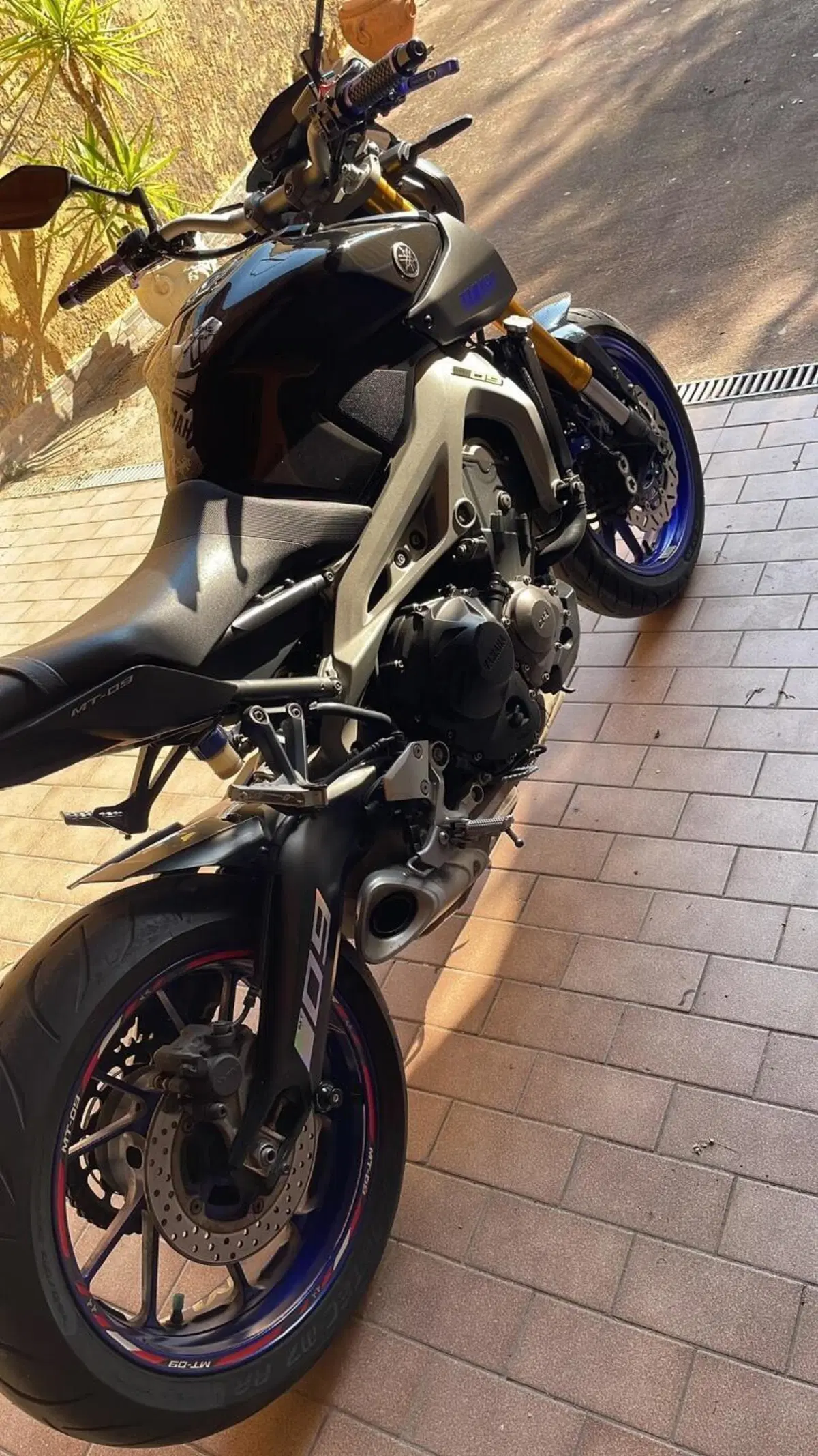 Yamaha MT-09 (2013 - 15) (4)