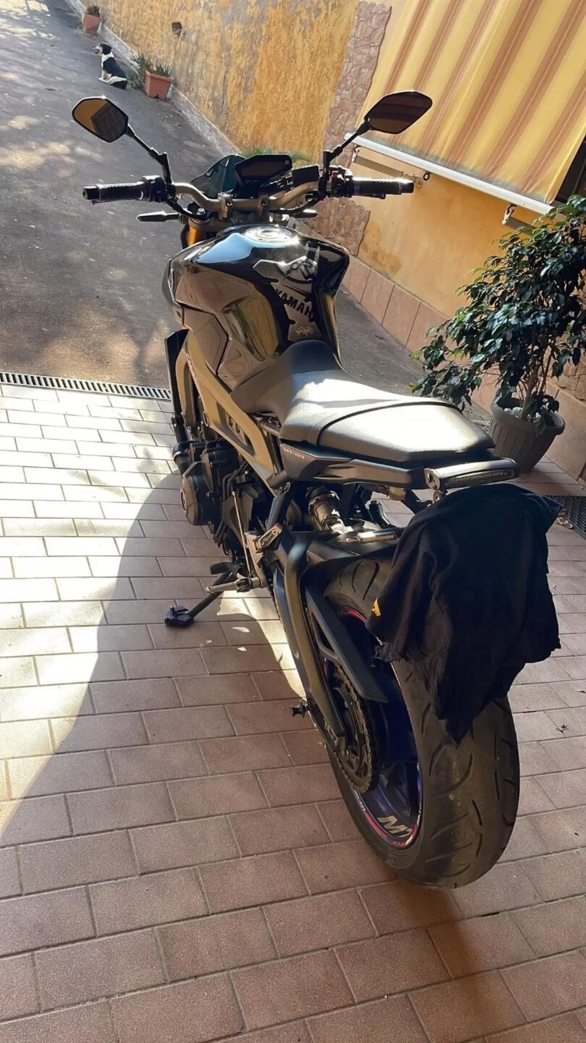 Yamaha MT-09 (2013 - 15) (6)