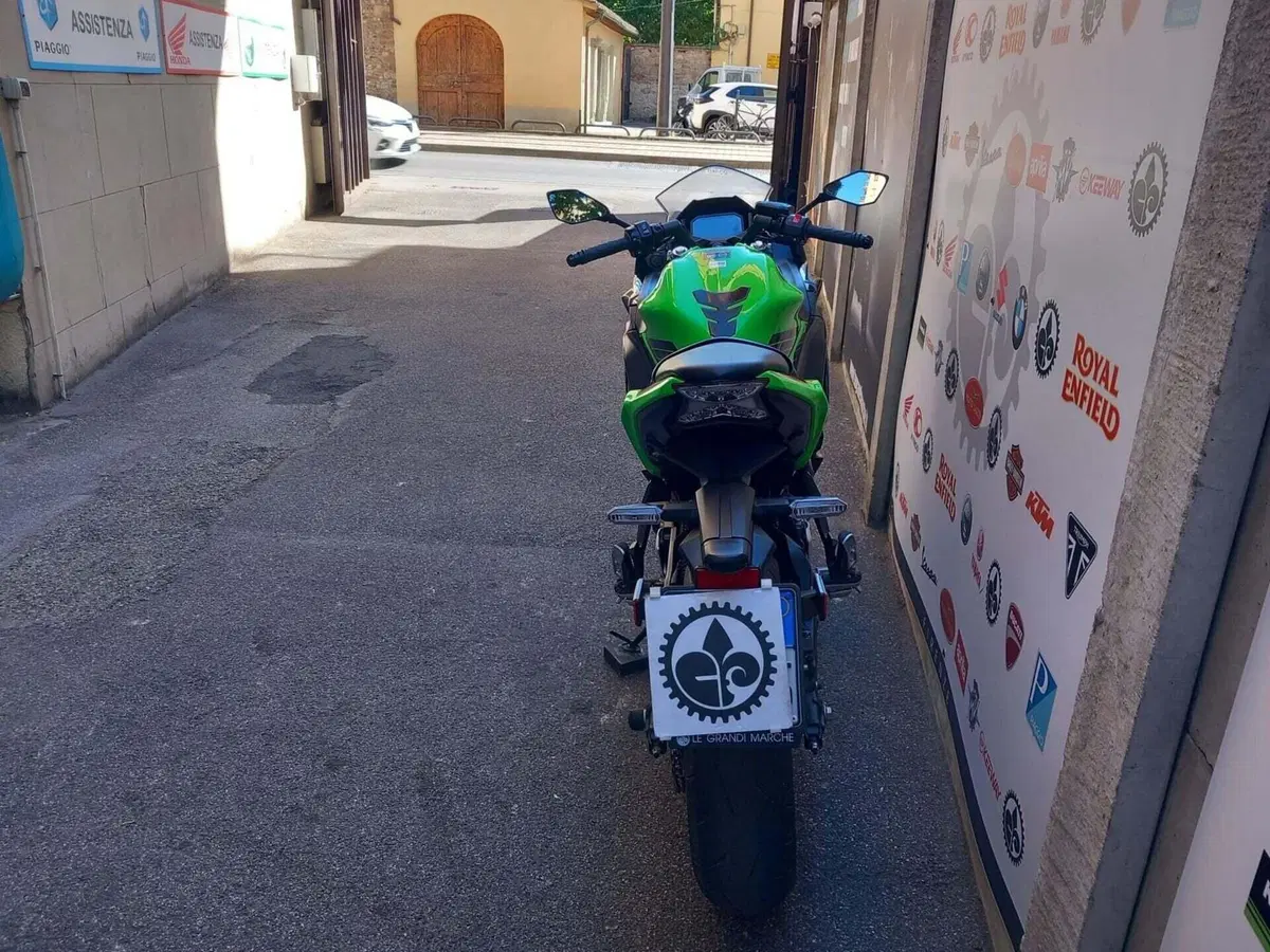 Kawasaki Ninja 650 (2021 - 24) (9)