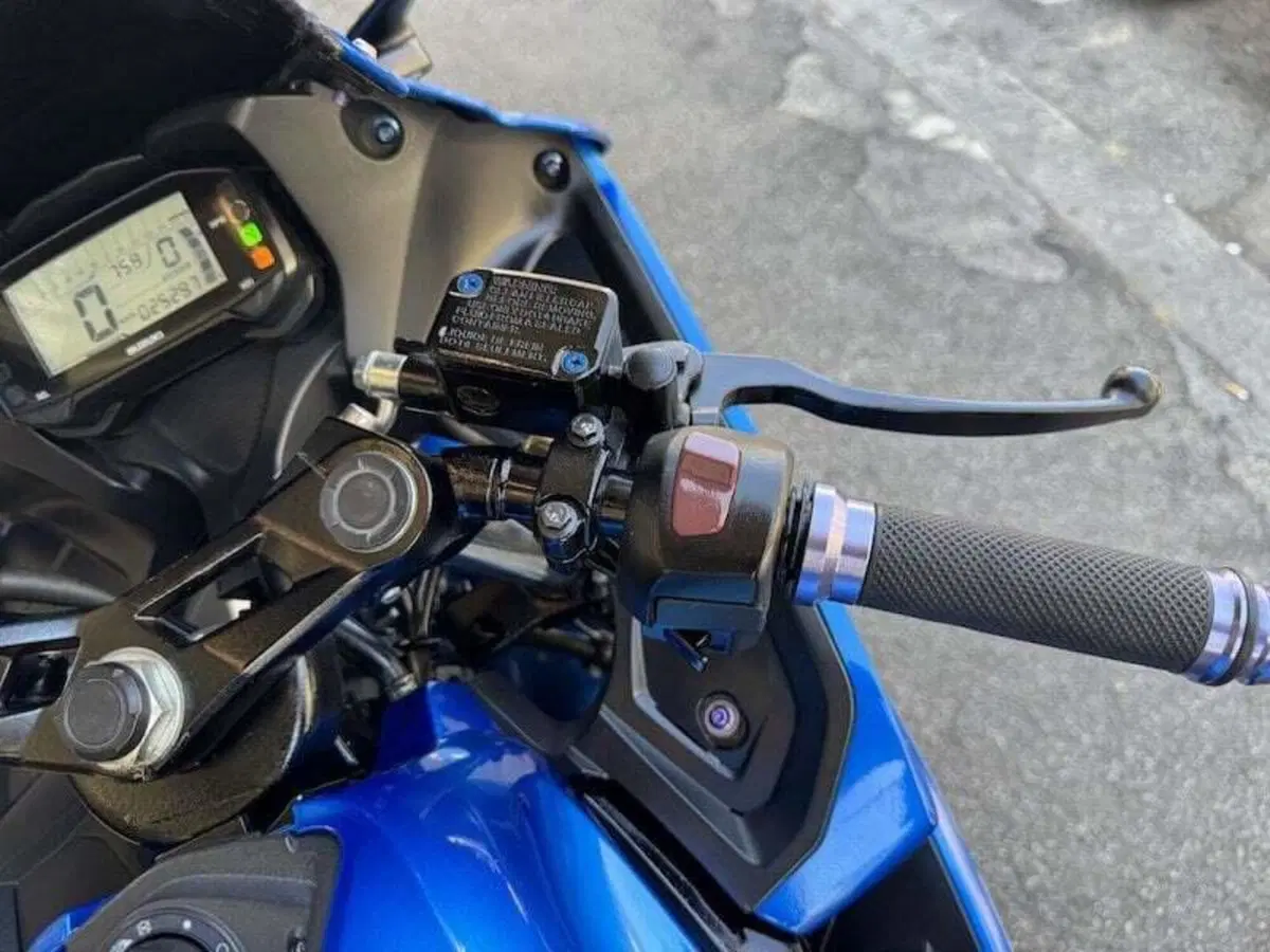 Suzuki GSX-R125 (2017 - 20) (20)