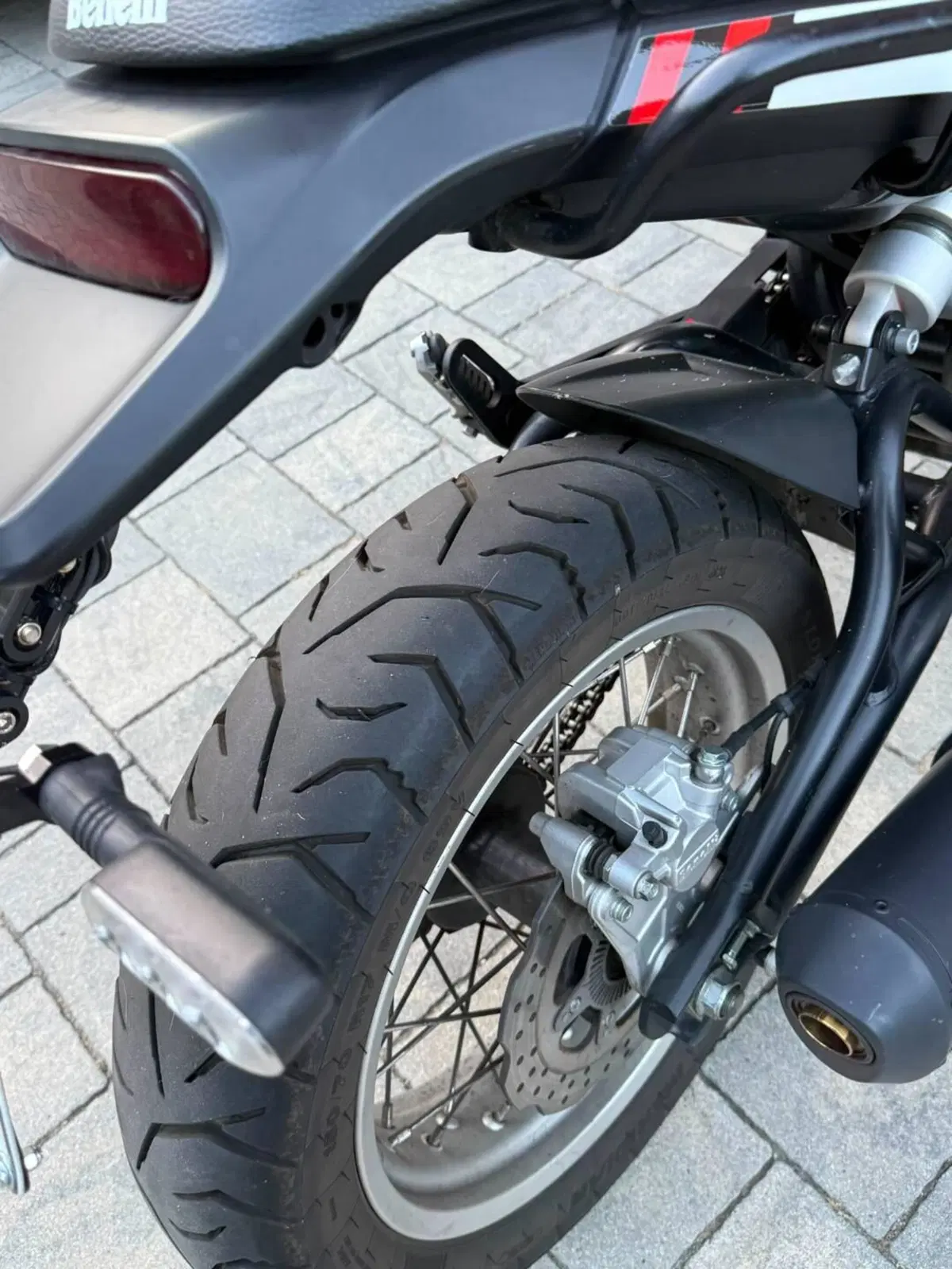 Benelli Leoncino 500 Trail (2021 - 26) (5)