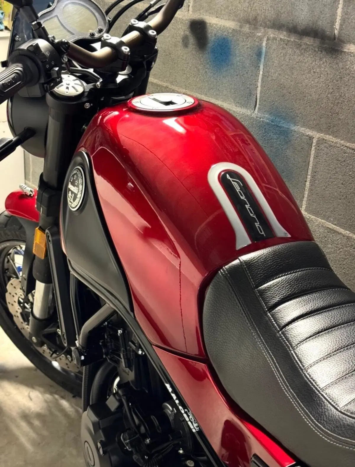 Benelli Leoncino 500 Trail (2021 - 26) (4)