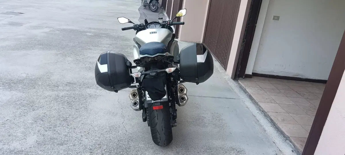 Kawasaki Z 1000 SX (2017 - 20) (2)