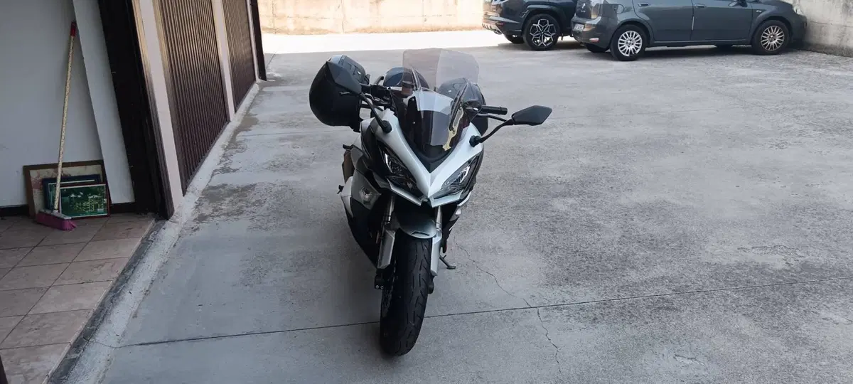 Kawasaki Z 1000 SX (2017 - 20) (4)